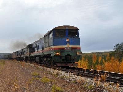 2010 год